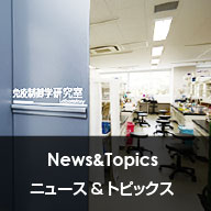 ニュース&トピックス